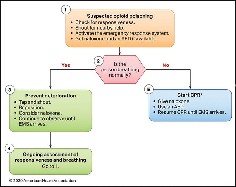 Figure 6. Opioid-Associated Emergency for Lay Responders Algorithm