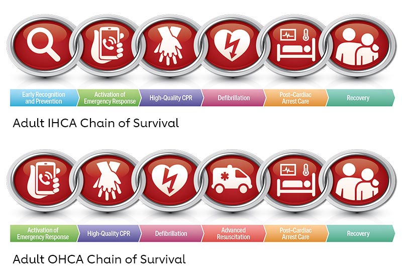 Figure 1. 2020 American Heart Association Chains of Survival for IHCA and OHCA 200513 illustration Figure 1. 2020 American Heart Association Chains of Survival for IHCA and OHCA 200513 illustration