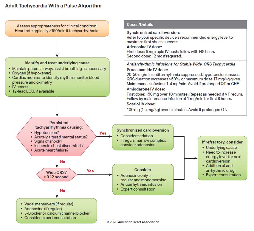 Adult Tachycardia With a Pulse Algorithm illustration Adult Tachycardia With a Pulse Algorithm