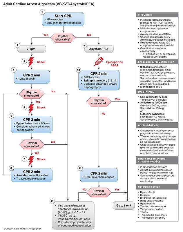 Adult Cardiac Arrest Algorithm (VF/pVT/Asystole/PEA) illustration 200731 Figure 3. Adult Cardiac Arrest Algorithm