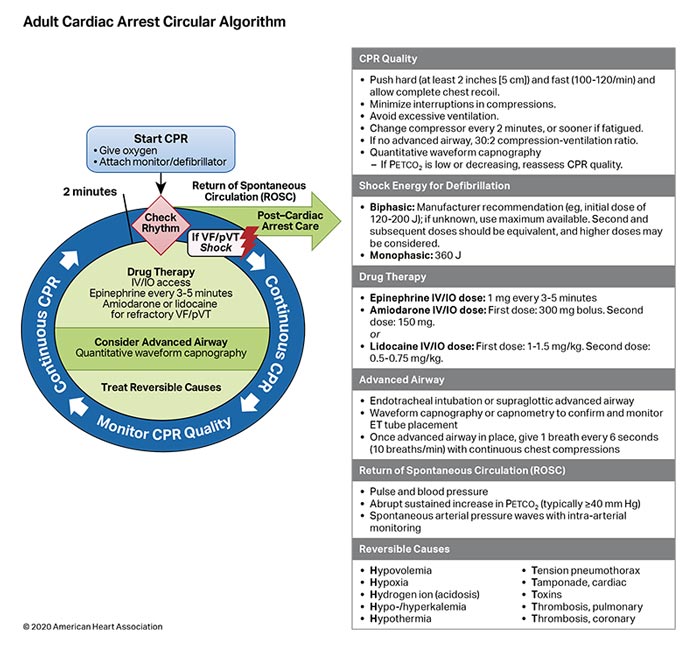 Adult Cardiac Arrest Circular Algorithm 200612 illustration Figure 4. Adult Cardiac Arrest Circular Algorithm