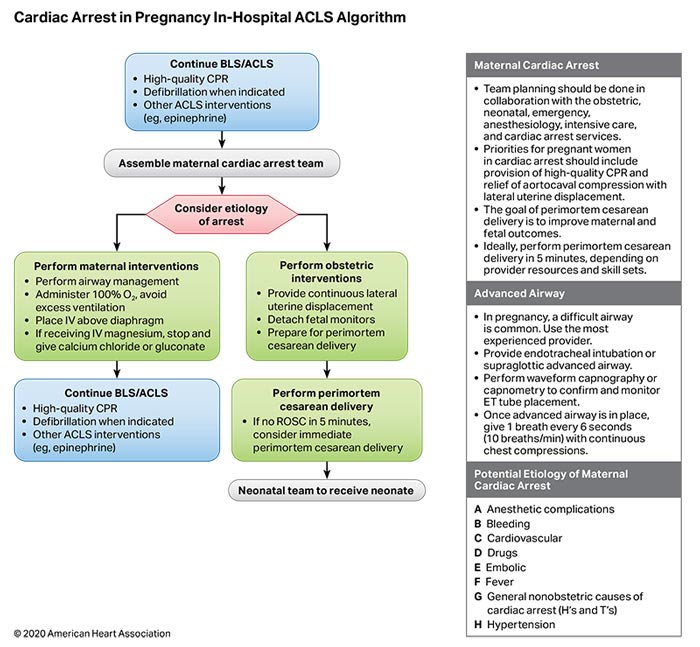 Cardiac Arrest in Pregnancy In-hospital ACLS Algorithm 200612 illustration Figure 15. Cardiac Arrest in Pregnancy In-Hospital ACLS Algorithm.