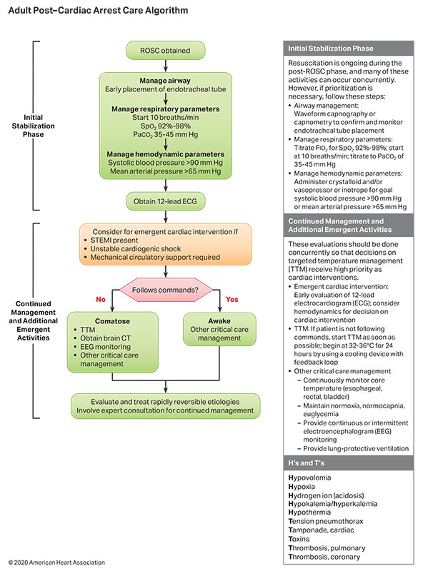 Adult Post-Cardiac Arrest Care Algorithm illustration Adult Post–Cardiac Arrest Care Algorithm