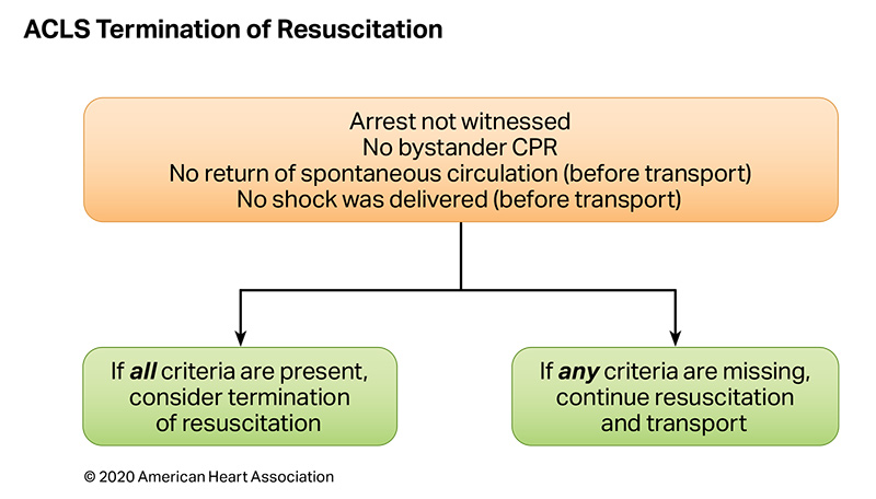 Algorithm ACLS Termination of Resuscitation 200612 illustration ACLS Termination of Resuscitation