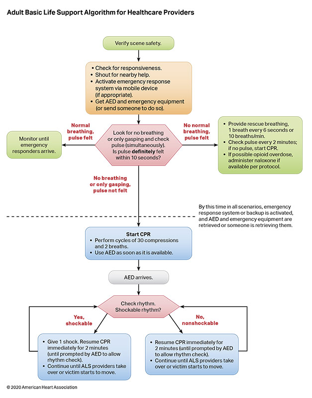 Algorithm BLS Adult 200624 illustration Figure 2. Adult BLS Algorithm for Healthcare Providers