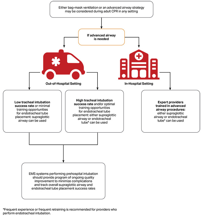 Schematic ALS recommendations advanced airways illustration Schematic ALS recommendations advanced airways illustration