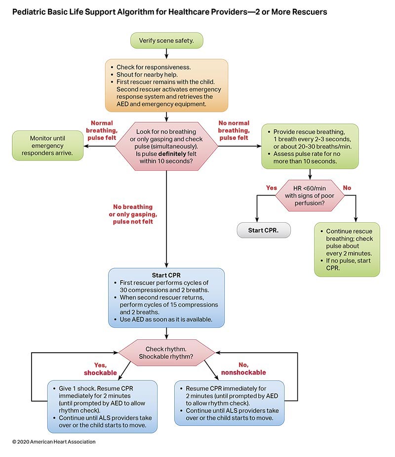Algorithm BLS Pediatric 2 or more Rescuers 200624 illustration Pediatric Basic Life Support Algorithm for Healthcare Providers - 2 or more rescuers