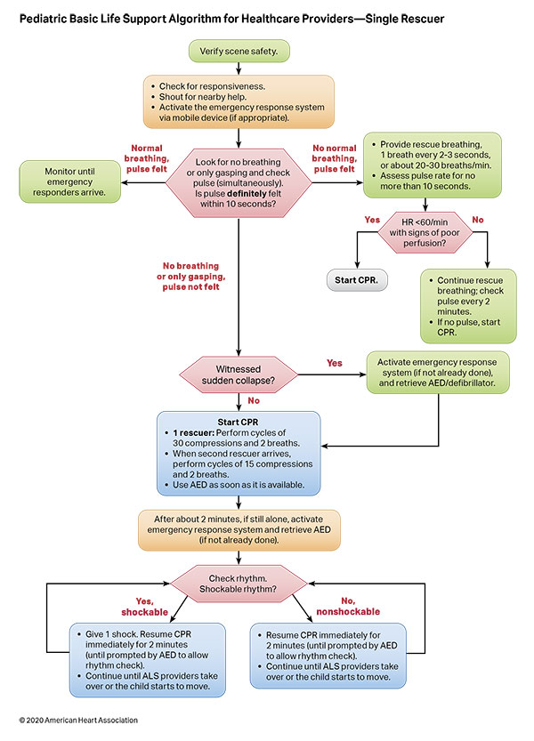 Algorithm BLS Pediatric Single Rescuer 200624 illustration Pediatric Basic and Advanced Life Support Algorithm for Healthcare Providers - Single Rescuer