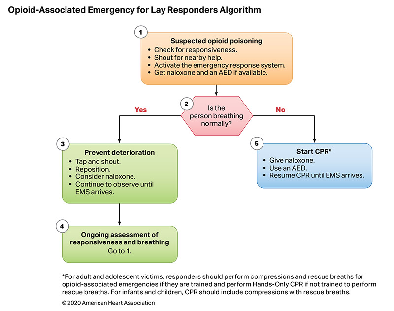 Opiod-Associated Emergency for Lay Responders Algorithm 200615 illustration Figure 13. Opioid-Associated Emergency for Lay Responders Algorithm.