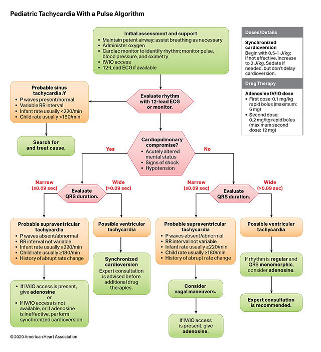 Pediatric Tachycardia With a Pulse Algorithm 200618 illustration Figure 13. Pediatric Tachycardia With a Pulse Algorithm