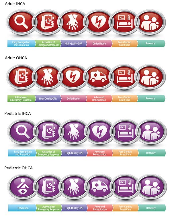 The Updated AHA Chains of Survival illustration The Updated AHA Chains of Survival illustration